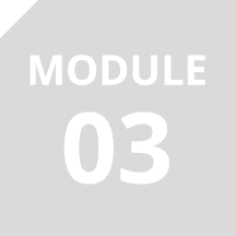 Module 03