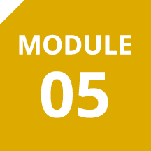 Module 05