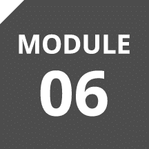 Module 06