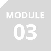 Module 03