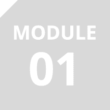Module 01