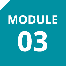 Module 03