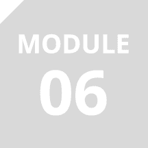 Module 06