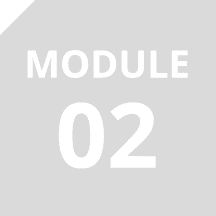 Module 02