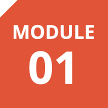 Module 01